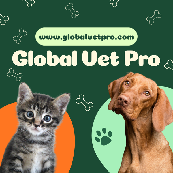 How Global Vet Pro Became a Trusted Name in Pet Health Supplies