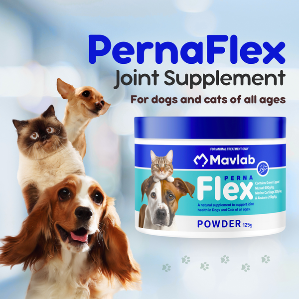 Benefits of PernaFlex in Aging Dogs and Cats