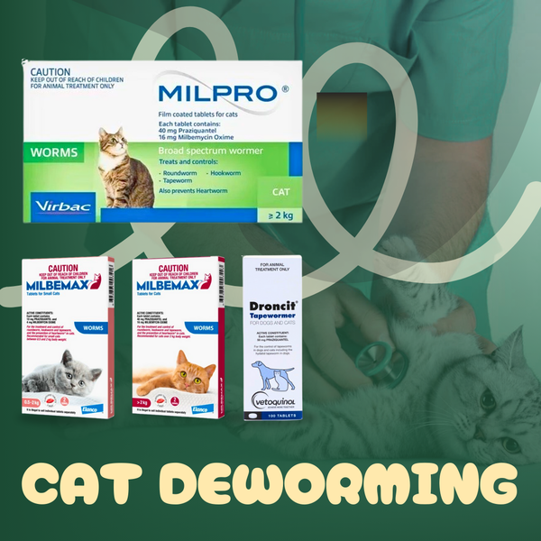 Heartworm & Deworming for Cats! What Every Pet Parent Should Know in 2025