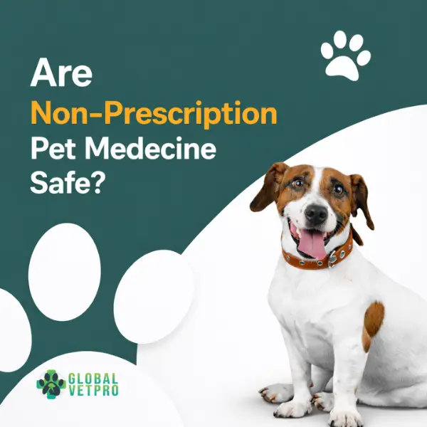 Are Non Prescription Pet Medications Safe
