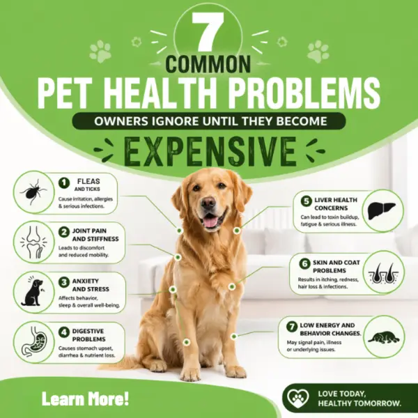 7 Common Pet Health Problems Owners Ignore Until They Become Expensive