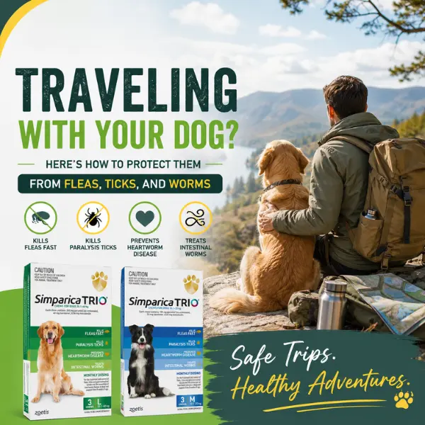 Traveling with Your Dog? Here's How to Protect Them from Fleas, Ticks, and Worms