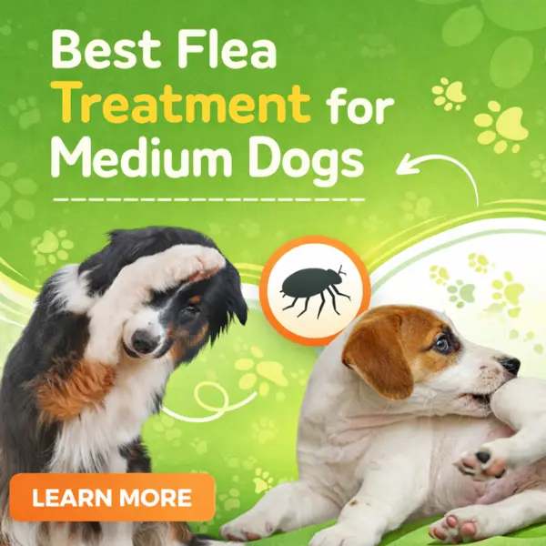 Best Flea Treatment for Medium Dogs | Advantage for Dogs